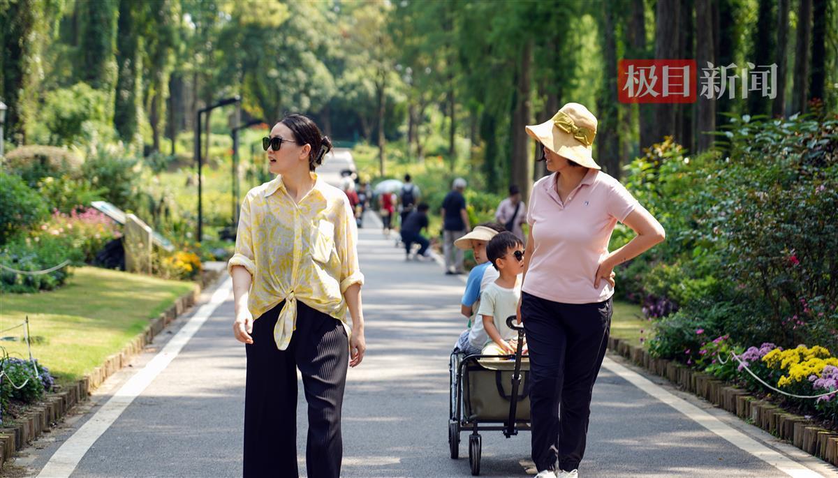 1角钱扎金花游戏